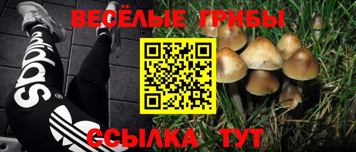 Галлюциногенные грибы мухоморы Астрахань